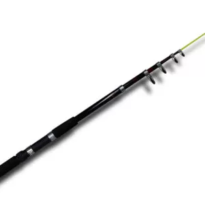 Vara Telescópica Molinete